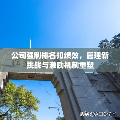 公司强制排名扣绩效,管理新挑战与激励机制重塑