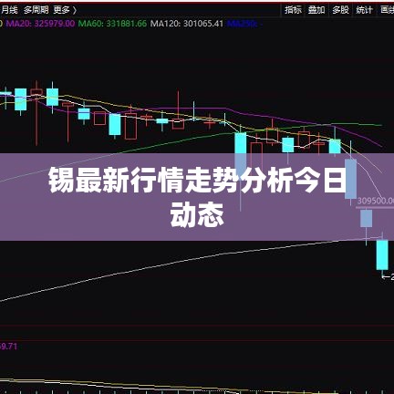 锡最新行情走势分析今日动态
