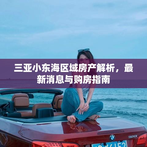 三亚小东海区域房产解析,最新消息与购房指南