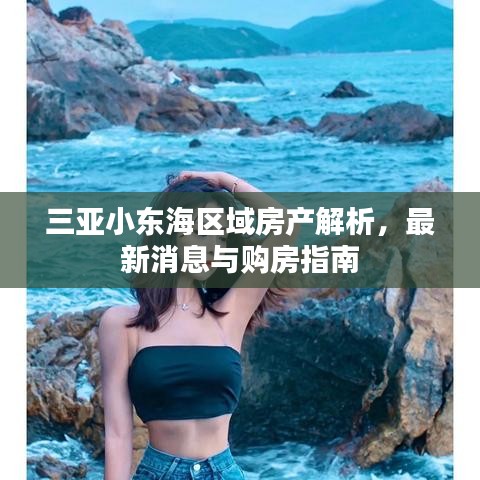 三亚小东海区域房产解析,最新消息与购房指南