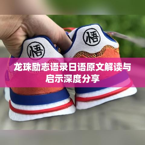 龙珠励志语录日语原文解读与启示深度分享
