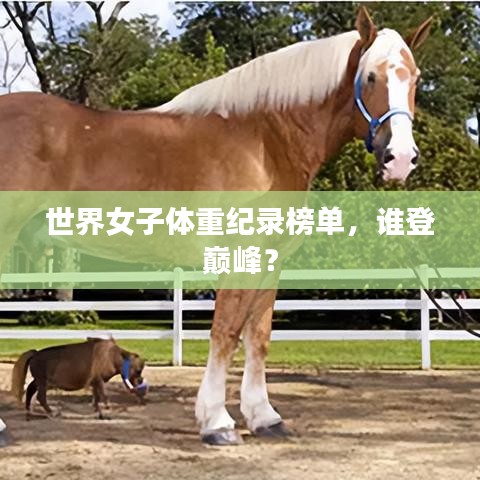 世界女子体重纪录榜单，谁登巅峰？