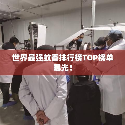 世界最强蚊香排行榜TOP榜单曝光!