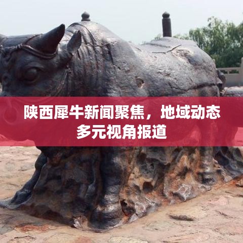 陕西犀牛新闻聚焦,地域动态多元视角报道