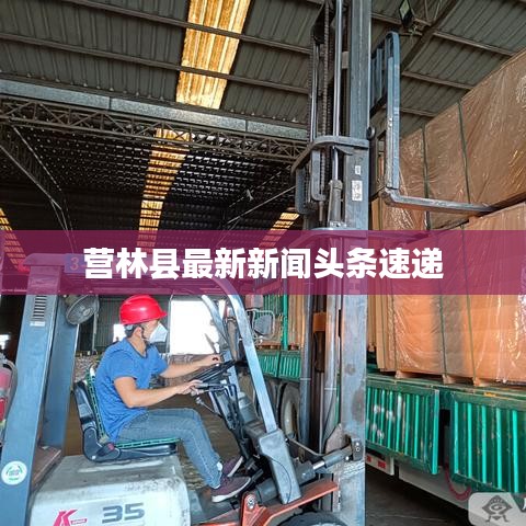 营林县最新新闻头条速递