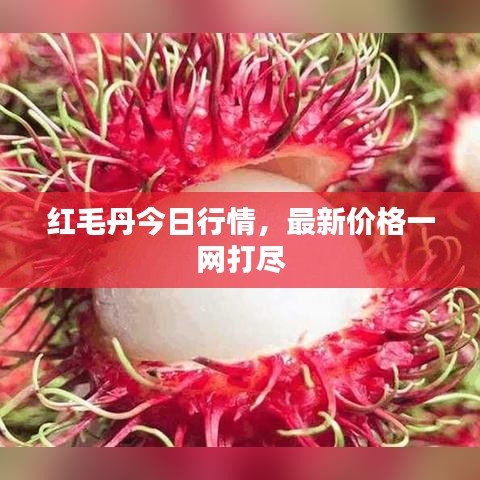 风流倜傥 第4页