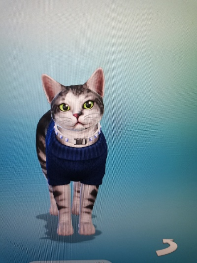 猫咪破解版本,实地执行考察数据|3D_v5.351