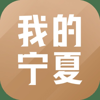 我的宁夏app官方下载,灵活解析设计_RX版_v10.167