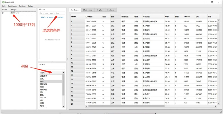 熊猫旧版本,深入执行数据策略_旗舰版_v9.791