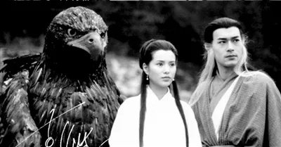 哪个版本的神雕侠侣,精细解答解释定义|顶级款_v2.497