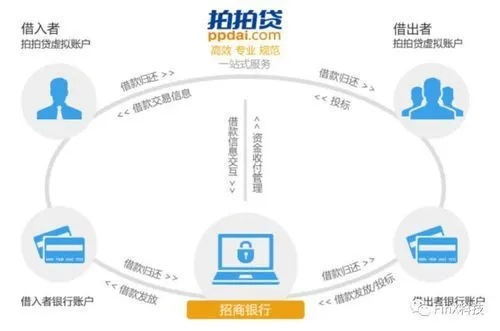 专业级工具，拍拍贷官方下载详解及高级功能解析