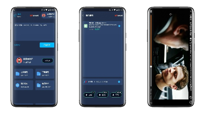 mt官方下载,系统化分析说明_T_v10.892