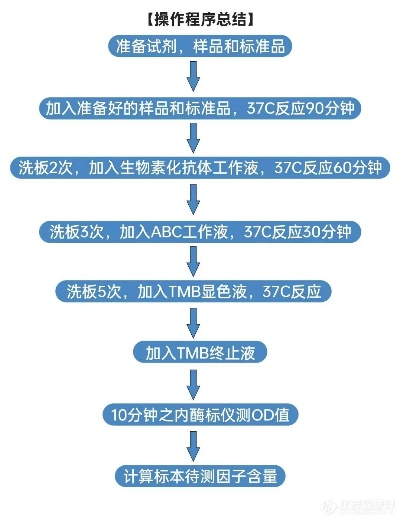 复刻版本,高效实施方法分析&amp;2D_v3.312