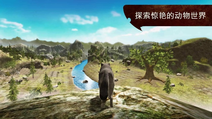 狼族官方下载,实地验证方案策略&amp;试用版_v1.665