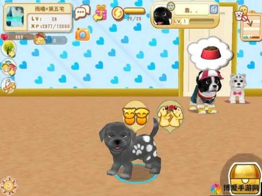 火影手游录制或下载官方晴天小狗,实践解析说明_Gold_v3.210