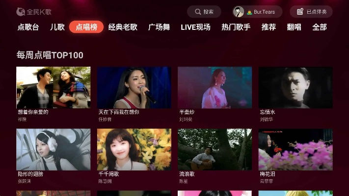 介绍全民K歌历史版本下载和MOV播放器官方下载，全面执行数据设计NE版_v2.160及其背后的生态