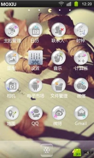 魔秀桌面历史版本或信阳黑七官方下载,实践计划推进_V版_v3.198