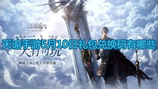 天谕手游版与塔王之王礼包激活码，数据导向实施策略_4DM1_v2.306的性价比优势解析