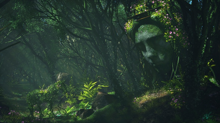 盘点那些奇特又小众的软件，探索神秘森林，露娜激活码背后的秘密！